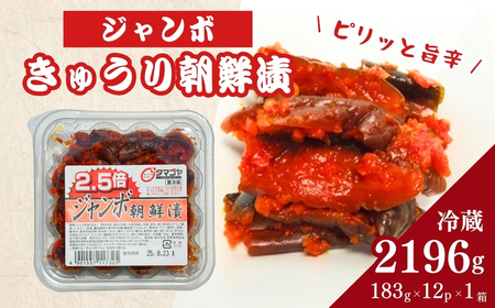 生カップジャンボ朝鮮漬きゅうり (タマゴヤの朝鮮漬) 183g×12p ｜ 香の蔵