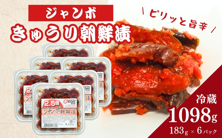 生カップジャンボ朝鮮漬きゅうり (タマゴヤの朝鮮漬) 183g×6p ｜ キムチ