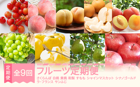 先行予約 フルーツ定期便 令和8年産 sb-ft9xxx