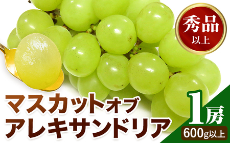マスカットオブアレキサンドリア 1房600g以上【配送不可地域あり】ﾏｽｶｯﾄ