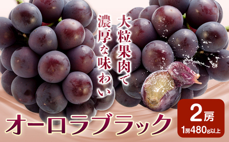 オーロラブラック 2房【配送不可地域あり】ぶどう