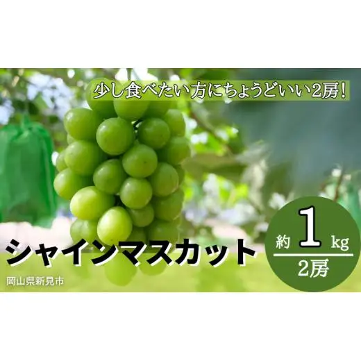 林農園 シャインマスカット 約1kg 2房 【先行予約 10月上旬から順次発送】