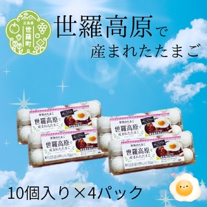 世羅で産まれたたまご 40個(10個入り×4パック) 津口ファーム たまご 玉子 生卵 鶏卵 卵 卵かけご飯 TKG 世羅 A015-03