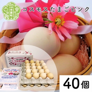 コスモス卵ピンク 40個 津口ファーム たまご 玉子 生卵 鶏卵 卵 卵かけご飯 TKG 世羅 A015-04