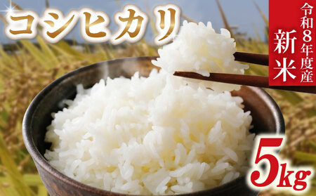 新米 白米 令和8年産 「コシヒカリ」 5kg 先行予約 小島農園