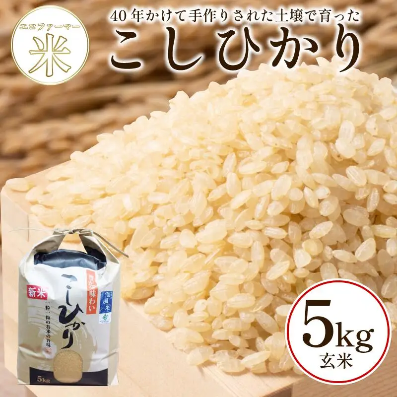 こしひかり 5kg 玄米 令和7年産 潮風米 ご飯 おにぎり ごはん お弁当 ギフト 贈答 プレゼント お取り寄せ グルメ 保存 防災 備蓄 送料無料 徳島 小松島