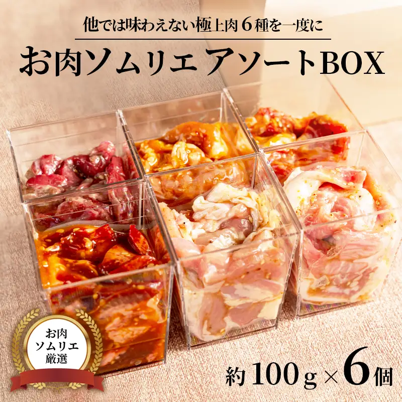 【お肉ソムリエ厳選】 肉アソートBOX 6種| 焼肉 お肉セット 焼き肉