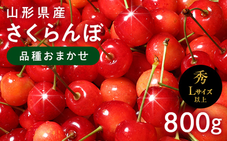FYN6-525 ≪2026年先行予約≫山形県産 さくらんぼ 品種おまかせ(佐藤錦・紅秀峰など) 800g(400g×2) 秀/L以上 バラパック詰め 2026年6月中旬頃より発送 果物 くだもの フルーツ 夏果実 サクランボ チェリー 桜桃 高級 化粧箱 ギフト箱 贈り物 贈答 ギフト プレゼント 自宅 家庭 産地直送 山形県 西川町 月山