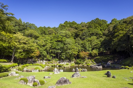 K008 常栄寺庭園保存整備事業