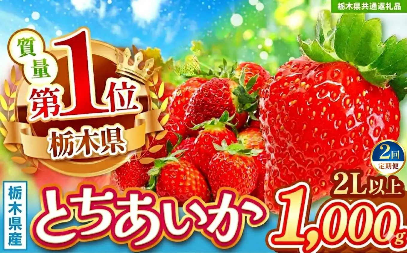 【先行予約】【栃木県共通返礼品】【定期2回】とちあいか2L以上 約1kg | 栃木県 那珂川町 送料無料