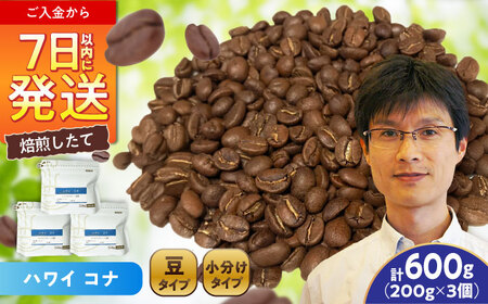 ハワイ・コナ　コーヒー豆　200g×3個 (豆)  / コーヒー  ドリップ  豆 / Coffee SAKURA[BBAB058]