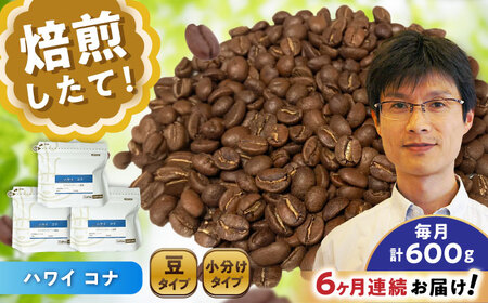 【全6回定期便】ハワイ・コナ　コーヒー豆　200g×3個 (豆)  / コーヒー  ドリップ  豆 / Coffee SAKURA[BBAB060]