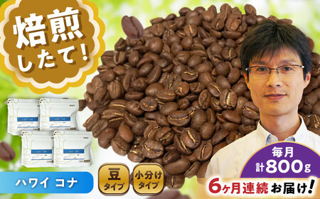 【全6回定期便】ハワイ・コナ　コーヒー豆　200g×4個 (豆)  / コーヒー  ドリップ  豆 / Coffee SAKURA[BBAB064]