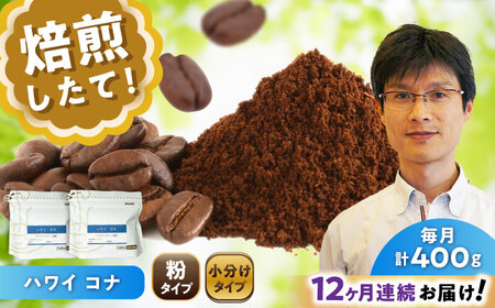 【全12回定期便】ハワイ・コナ　コーヒー粉　200g×2個(粉/中挽き)  / コーヒー  ドリップ  粉 / Coffee SAKURA[BBAB069]