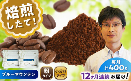 【全12回定期便】ブルーマウンテンNo.1　コーヒー粉　200g×2個(粉/中挽き)  / コーヒー  ドリップ  粉 / Coffee SAKURA[BBAB089]