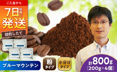 ブルーマウンテンNo.1　コーヒー粉　200g×4個(粉/中挽き)  / コーヒー  ドリップ  粉 / Coffee SAKURA[BBAB094]