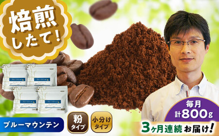 【全3回定期便】ブルーマウンテンNo.1　コーヒー粉　200g×4個(粉/中挽き)  / コーヒー  ドリップ  粉 / Coffee SAKURA[BBAB095]