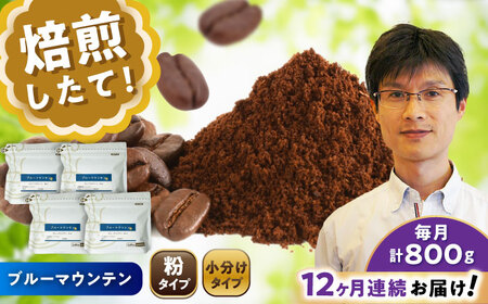 【全12回定期便】ブルーマウンテンNo.1　コーヒー粉　200g×4個(粉/中挽き)  / コーヒー  ドリップ  粉 / Coffee SAKURA[BBAB097]
