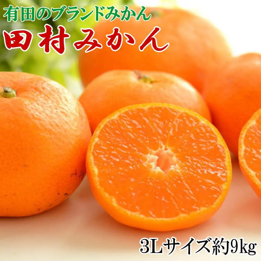 ［先行予約］［ブランドみかん］田村みかん 大玉 約9kg（3Lサイズ）★2026年11月下旬頃より順次発送