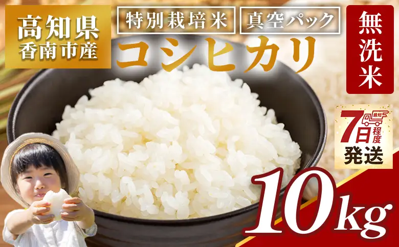 コシヒカリ 10kg 特別栽培米コシヒカリ 5kg×2 令和7年産 nu-0004