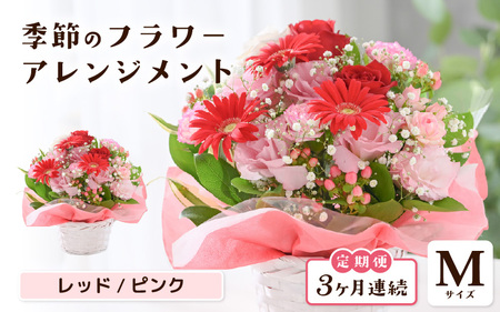 定期便 ≪3ヶ月連続お届け≫ 選べるカラー 季節のフラワーアレンジメント M (レッド・ピンク) 【お花 フラワー アレジメント 花束 ギフト 生花 プレゼント 花束 花 記念日 敬老の日 お祝い】 [C-20701_01]