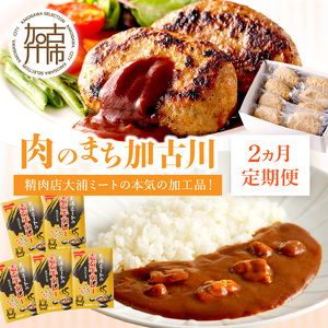 「肉のまち加古川」精肉店大浦ミートの本気の加工品！《 ハンバーグ カレー 定期便 惣菜 簡単調理 手軽 おかず 》【2501I00201】