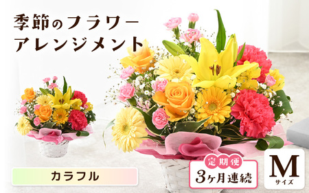 定期便 ≪3ヶ月連続お届け≫ 選べるカラー 季節のフラワーアレンジメント M (カラフル) 【お花 フラワー アレジメント 花束 ギフト 生花 プレゼント 花束 花 記念日 敬老の日 お祝い】 [C-20701_03]