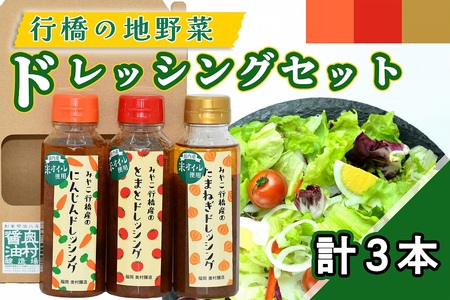 AI-008 行橋の地野菜ドレッシング３本セット