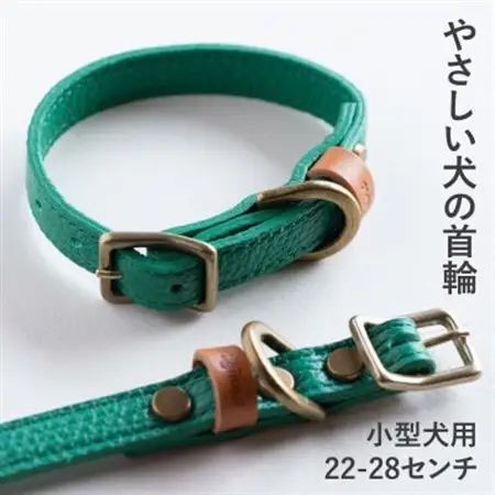 首輪 本革 イタリアンレザー グリーン 小型犬用 (22-28センチ)ペット用品【dc-01ss】【1663061】