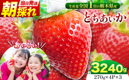 【先行予約】那珂川町産とちあいか 270ｇ×4Ｐ×3 | 2026年 2027年 先行予約 苺 イチゴ 大粒 甘い 贈答用 数量限定 果物 フルーツデザート 人気 贅沢 たっぷり 大容量 朝採れ当日発送 栃木県 那珂川町 送料無料