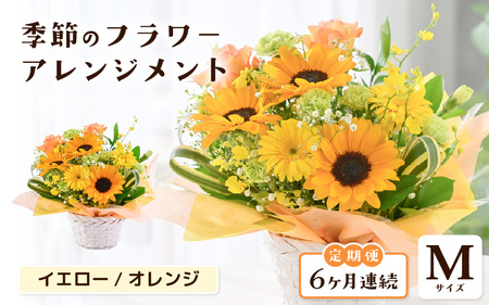 定期便 ≪6ヶ月連続お届け≫ 選べるカラー 季節のフラワーアレンジメント M (イエロー・オレンジ)【お花 フラワー アレジメント 花束 ギフト 生花 プレゼント 花束 花 記念日 敬老の日 お祝い】 [G-20701_02]