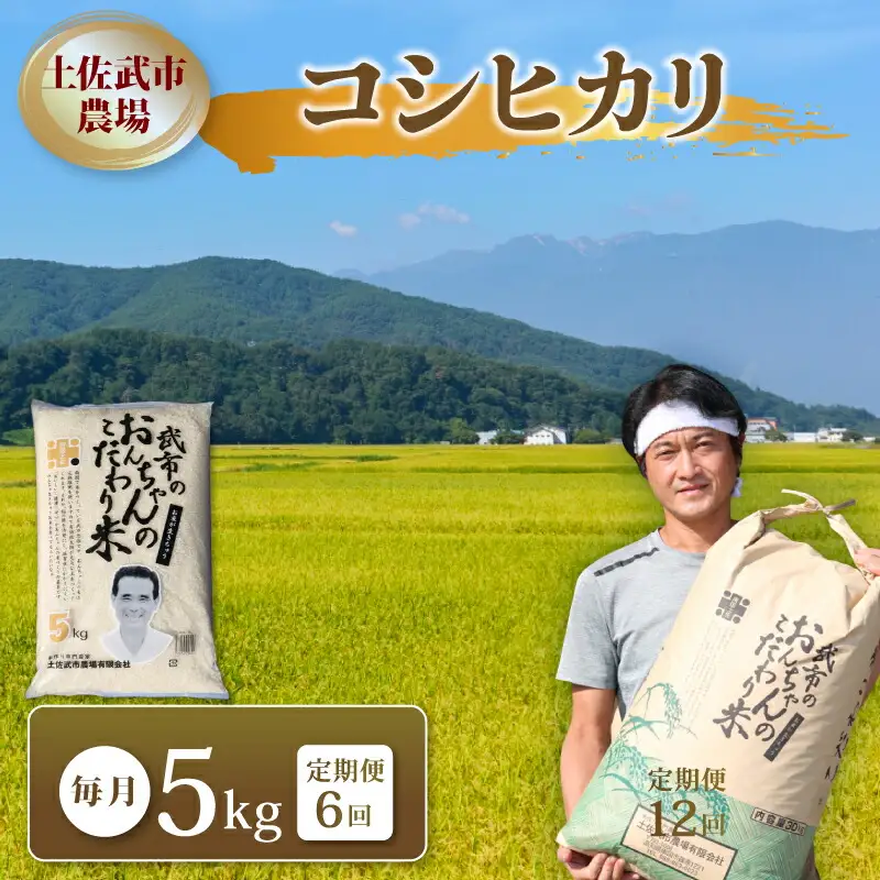 【6回定期便】白米 コシヒカリ 5㎏ 高知県 南国市 定期便 精米 TT1100