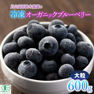 【令和8年産先行予約】【冷凍】月山高原のオーガニックブルーベリー(大粒・600g)　K-845