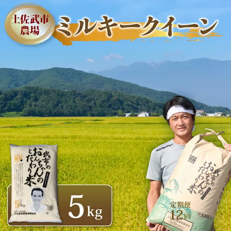 米 令和7年産 ミルキークイーン 5kg スピード発送 