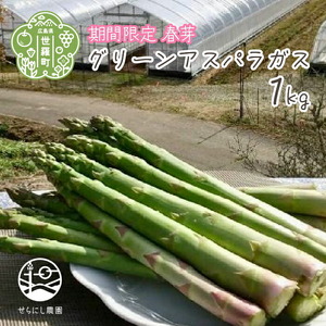 【春芽】グリーンアスパラガス 1kg【先行予約･期間限定】アスパラ 野菜 産地直送 新鮮 世羅【2026年4月上旬以降順次発送】 A039-02