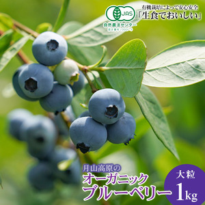 【令和8年産先行予約】月山高原のオーガニックブルーベリー(大粒1kg)　K-864