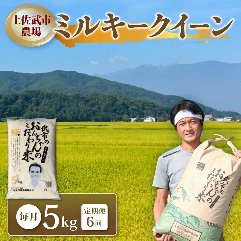 定期便 令和7年度 【6回定期便】 白米 ミルキークイーン 5kg◇◆