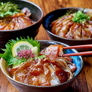 漬け丼 5種セット (計10食分・2食入×5種) りゅうきゅう あつめし 漬け 魚介 海鮮 鰤 ブリ 真鯛 タイ シマアジ アジ あじ ヒラメ 鮃  ひらめ アオリイカ いか 【opba007】【海べ】