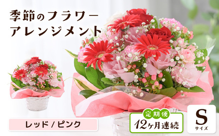 定期便 ≪12ヶ月連続お届け≫ 選べるカラー 季節のフラワーアレンジメント S (レッド・ピンク) 【お花 フラワー アレジメント 花束 ギフト 生花 プレゼント 花束 花 記念日 敬老の日 お祝い】 [I-20701_01]