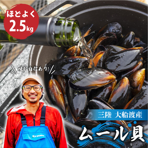 【先行予約】 国産 活ムール貝 2.5kg ＼ ムール貝 ／
