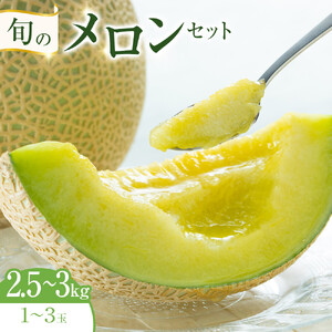 318.【先行予約】旬のメロンセット◇ ※6月上旬～7月下旬頃に順次発送予定