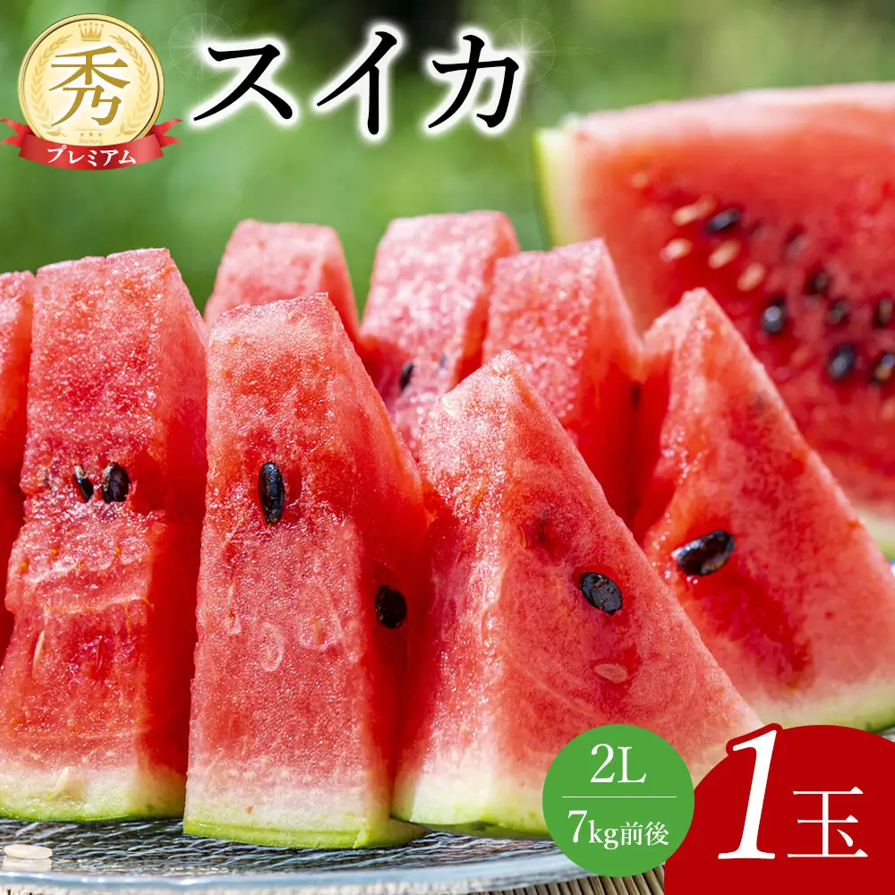 241.【先行予約】プレミアムスイカ　1玉◇※5月下旬～8月中旬頃に順次発送予定（こちらの返礼品は、大栄西瓜ではありません）