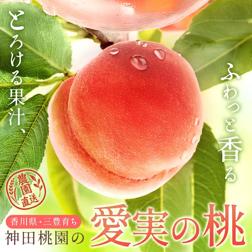 【ふるさと納税】 桃 産地直送 「神田桃園の愛実の桃」 約2kg（6～8玉） [ フルーツ 名産品 桃 もも モモ 赤い桃 果物 くだもの お取り寄せグルメ 三豊市 20000 20, 返礼品 神田桃園 ] ※配送不可地域：北海道・沖縄県・離島