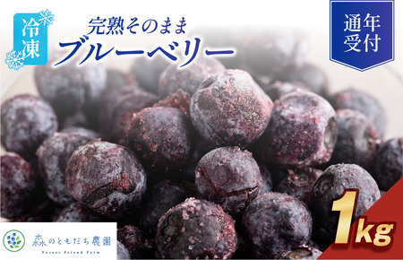 森のともだち農園 冷凍ブルーベリー 1kg【V003270K1】