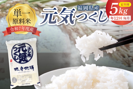 令和7年産 【定期便/年12回】「元気つくし」5kg【ほたるの里】_HB0205