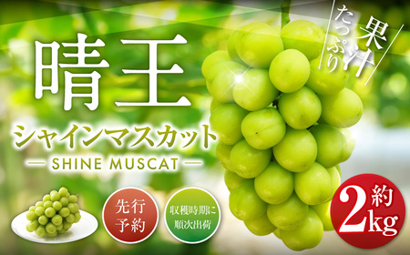 シャインマスカット 晴王 2kg ぶどう 葡萄 フルーツ 果物 岡山県 岡山県産 2026年 先行予約 【2026年9月下旬-10月下旬発送予定】