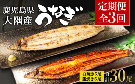 【定期便全3回】 鹿児島県 大隅産 千歳鰻 白焼き 5尾・ 蒲焼 5尾（1尾110g～130g）| 白焼き