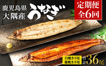 【定期便全6回】 鹿児島県 大隅産 千歳鰻 白焼き 3尾・ 蒲焼 3尾 （1尾110g～130g）| 白焼き