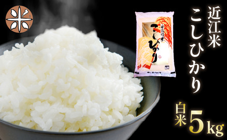 令和7年産 米 白米 5kg こしひかり 精米 近江米 コシヒカリ 国産 お米 米 おこめ ごはん ご飯 白飯 しろめし こめ ゴハン 御飯 滋賀県産 竜王 ふるさと ランキング 人気 おすすめ