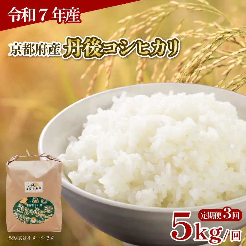 【令和7年産】3回定期便 京都府産米 丹後コシヒカリ 5kg 特Ａブランド米 定期便
